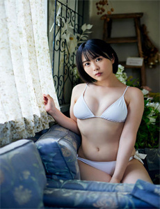 《代号山豹电视剧》